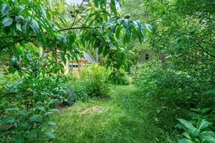 183 Pitcher Rd, Belfast, ME 04915 - Photo 54