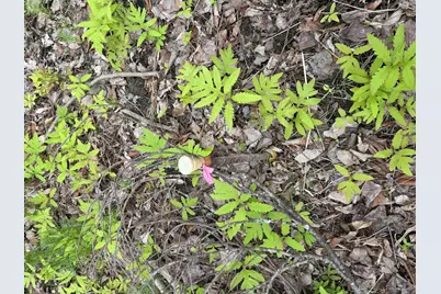 Lot I Agape Lane, Dexter, ME 04930 - Photo 32