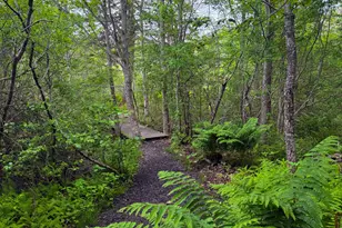 260 Clark Island Rd, Saint George, ME 04859 - Photo 48
