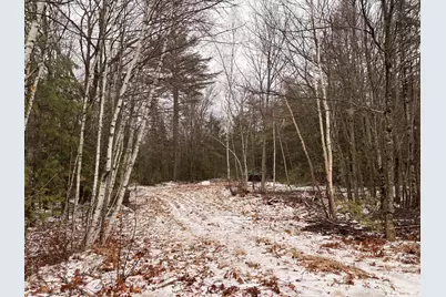 Lot #6 Mohawk Road, Enfield, ME 04493 - Photo 6