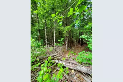 0 Pioneer Path #Lot 5, Aurora, ME 04408 - Photo 20