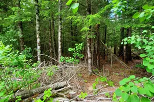0 Pioneer Path, Aurora, ME 04408 - Photo 20