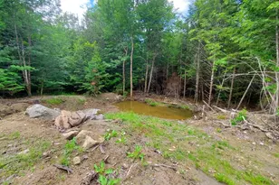 0 Pioneer Path, Aurora, ME 04408 - Photo 10