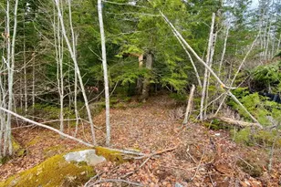 0 Pioneer Path, Aurora, ME 04408 - Photo 16