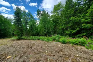 0 Pioneer Path, Aurora, ME 04408 - Photo 14