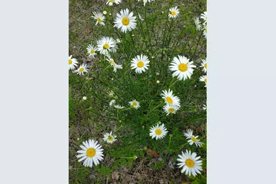 0 Pioneer Path #Lot 5, Aurora, ME 04408 - Photo 28