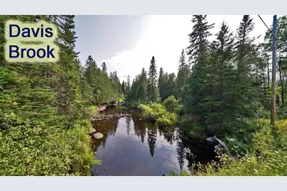 Lot 13 Wilcox Road, Cary, ME 04730 - Photo 2