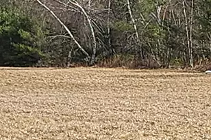 27 Atkins Rd, Corinna, ME 04928 - Photo 6