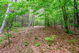 217 Chamberlain Rd, Brownfield, ME 04010 - Photo 140