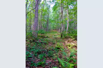 265 Webber Hill Road, Kennebunk, ME 04043 - Photo 2