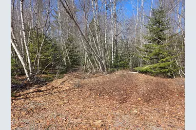 Lot 12-1 Christian Ridge Road, Ellsworth, ME 04605 - Photo 10