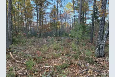 Lot 16 (2) Whittier Road, Farmington, ME 04938 - Photo 6