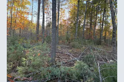Lot 16 (2) Whittier Road, Farmington, ME 04938 - Photo 10