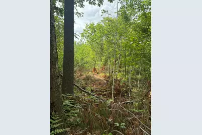 Lot 16 (2) Whittier Road, Farmington, ME 04938 - Photo 4