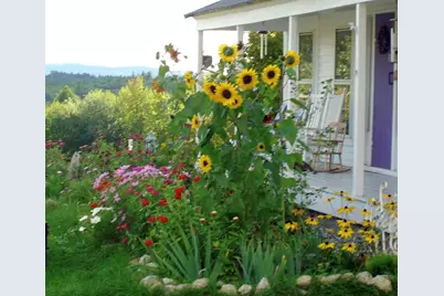 288 Mayberry Hill Road, Casco, ME 04015 - Photo 4