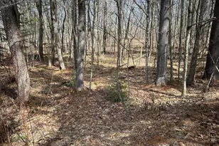 704 Cedar Grove Rd, Dresden, ME 04342 - Photo 72