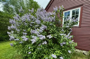 704 Cedar Grove Rd, Dresden, ME 04342 - Photo 1