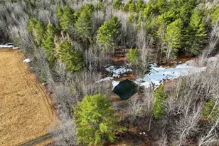 53 Kulas Rd, Parkman, ME 04443 - Photo 50