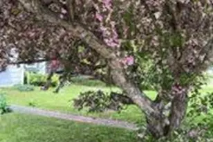 13 River St, Princeton, ME 04668 - Photo 8