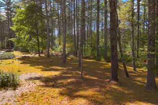 62 Sandy Cir, Brownfield, ME 04010 - Photo 36