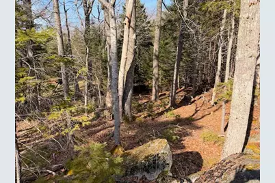 0 Balsam Lane, Mount Desert, ME 04660 - Photo 2