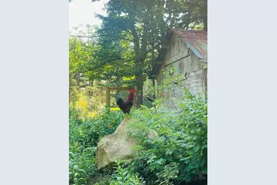 286 Lexington Road, Springfield, ME 04947 - Photo 24