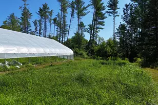 286 Lexington Rd, Springfield, ME 04947 - Photo 70