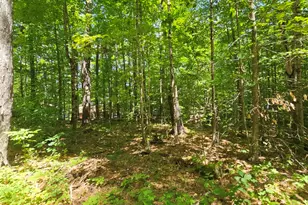 158 & 170 Park Ln, Windsor, ME 04363 - Photo 28