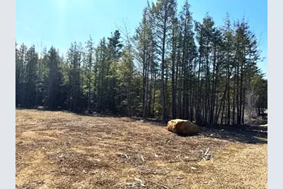 Lot 14 Milk Road, Alfred, ME 04002 - Photo 8