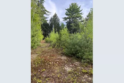 5 Bog Brook Loop, West Paris, ME 04289 - Photo 4