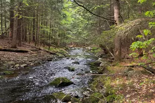 4 Bog Brook Loop, West Paris, ME 04289 - Photo 1