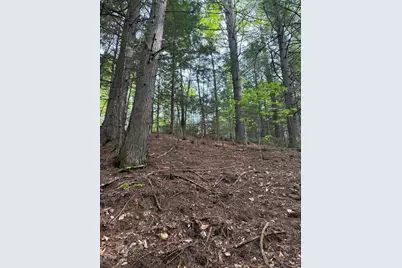 6 Bog Brook Loop, West Paris, ME 04289 - Photo 8