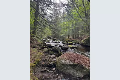 7 Bog Brook Loop, West Paris, ME 04289 - Photo 6