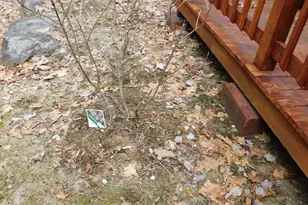 217 Troy Rd, Detroit, ME 04929 - Photo 20