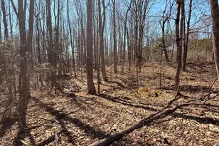 186 Transalpine Rd, Lincoln, ME 04457 - Photo 1
