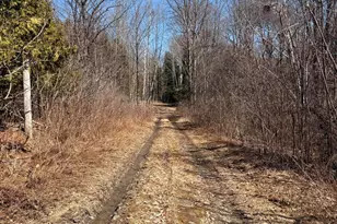 186 Transalpine Rd, Lincoln, ME 04457 - Photo 20
