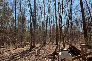 186 Transalpine Rd, Lincoln, ME 04457 - Photo 24