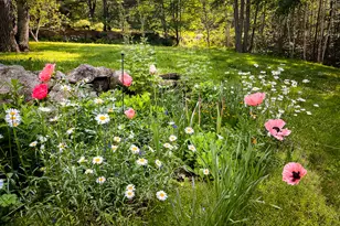 24 White Tail Dr, Rockport, ME 04856 - Photo 48