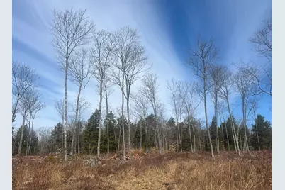 Tbd Deer Hill Road, Harrison, ME 04040 - Photo 8