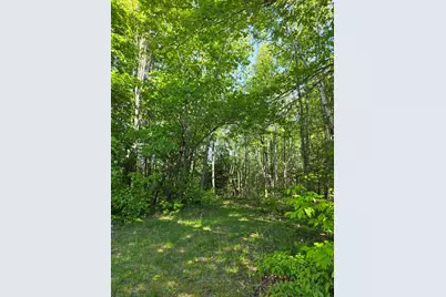 153 Stillwater Avenue, Orono, ME 04473 - Photo 14