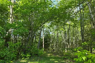 153 Stillwater Ave, Orono, ME 04473 - Photo 14