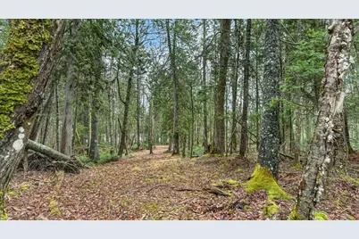 35 Aspen Lane, Steuben, ME 04680 - Photo 20