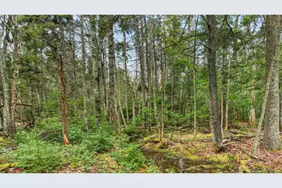 35 Aspen Lane, Steuben, ME 04680 - Photo 26