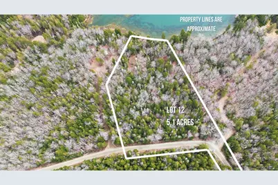 35 Aspen Lane, Steuben, ME 04680 - Photo 4