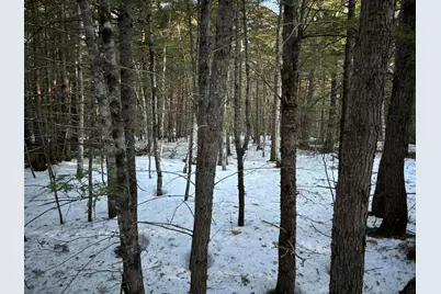 Map13Lot11 Field View Road, Fryeburg, ME 04037 - Photo 36