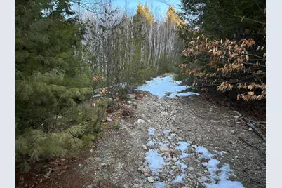 Map13Lot11 Field View Road, Fryeburg, ME 04037 - Photo 8