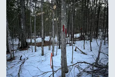 Map13Lot11 Field View Road, Fryeburg, ME 04037 - Photo 42