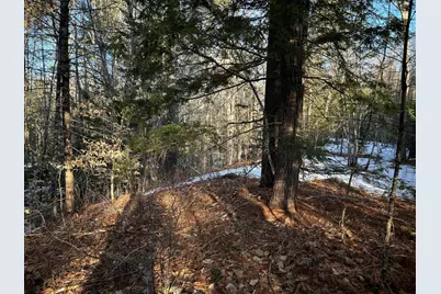 Map13Lot11 Field View Road, Fryeburg, ME 04037 - Photo 16