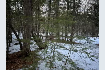 Map13Lot11 Field View Road, Fryeburg, ME 04037 - Photo 34