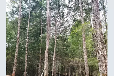 Lot B-2 Pioneer Path, Aurora, ME 04408 - Photo 6